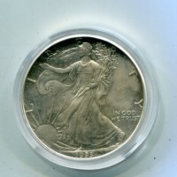 USA: 1 dollaro 1993 "Oncia"