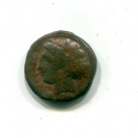 Sicilia, Siracusa (215-214 a.C.): bronzo (SNG ANS#561)