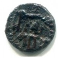 Palermo, Guglielmo II (1166-1189): kharruba (MIR.110#443)
