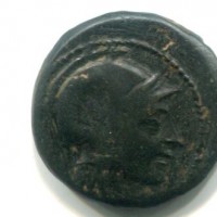 Regno Seleucide, Seleuco II Kallinikos (246-226 a.C.): bronzo, zecca di Antiochia (HGC,9#345)
