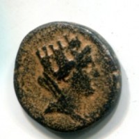 Pseudo Autonome, Seleucis e Pieria, Apameia (14-15 d.C.): bronzo (RPC,I#4369), gr.7,64