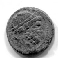 Sicilia, Siracusa (dopo 212 a.C.): bronzo (Buceti#1729), gr.7,29