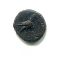 Aeolis, Kyme (300-250 a.C.): bronzo (Sng Cop#41.3)
