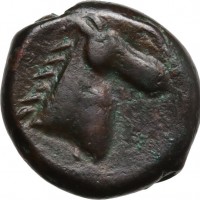 Sardo-Puniche (350-300 a.C.): bronzo (Lulliri, tav.1#1), grammi 4.67, mm 17