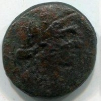 Sicilia, Siracusa (212 a.C.): bronzo 20 mm (SNG ANS#1099/1100)