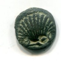 Calabria, Graxa (250-225 a.C.): AE (SNG,ANS#797), 13,5 mm, gr.2,08