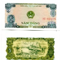 Viet Nam: 5 dong 1976 (Pick#81)
