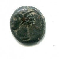 Siculo Puniche (dopo il 400 a.C.): AES, cavallo stante dietro Palmizio (Mont.#5543), gr. 3,31
