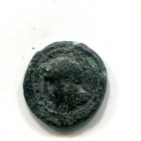 Sicilia, Kamarina (339-300 a.C.): bronzo (Calciati,111#70)
