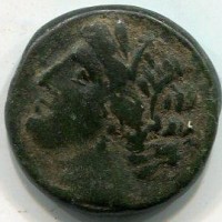 Sicilia, Siracusa, Gerone II (275-216 a.C.): bronzo 22 mm (Calciati,II#5.406), gr. 10,95