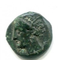 Siculo Puniche (dopo il 400 a.C.): AES, cavallo stante dietro Palmizio (Mont.#5543), gr. 2,52
