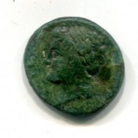 Sicilia, Siracusa (317-295 a.C.): AES, 20 mm (SNG ANS#567), gr. 5,57
