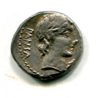 Vibia, C. Vibius C. F. Pansa (90 a.C.): denario 4,18g (RRC #342/5)