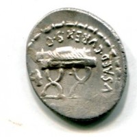 Plaetoria, M. Plaetorius M. F. Cestianus (67 a.C.): denario, 3,98g (RRC #409/2)