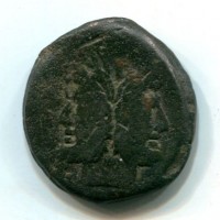 Maiania, C. Maianius? (135-126 a.C.): asse 24,29g (Syd #428)