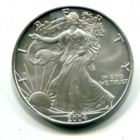 USA: 1 dollaro 2004 "Oncia"
