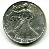 USA: 1 dollaro 2005 "Oncia"
