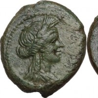 Lucania, Metaponto (225-200 a.C.): bronzo 20 mm (SngANS#599; HN Italy#1715; Johnston#79), grammi 4,75