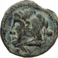 Apulia, Ausculum (240 a.C.): AE 19 mm (HN Italy#654; Sng ANS#648