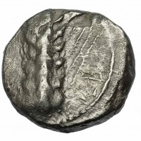 Lucania, Metaponto (470-440 a.C.): nomos (SBG#235), grammi 7,7, mm 16,5